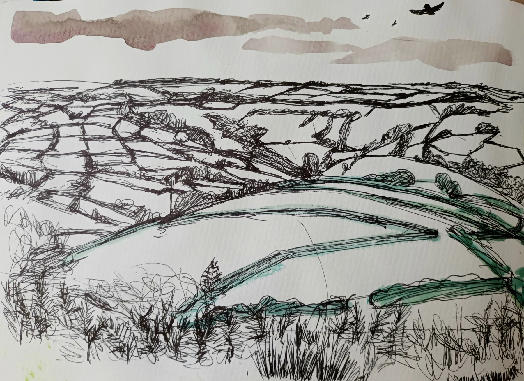 Fields and Buzzards, Sketch — Pen and watercolour on paper, 2026
