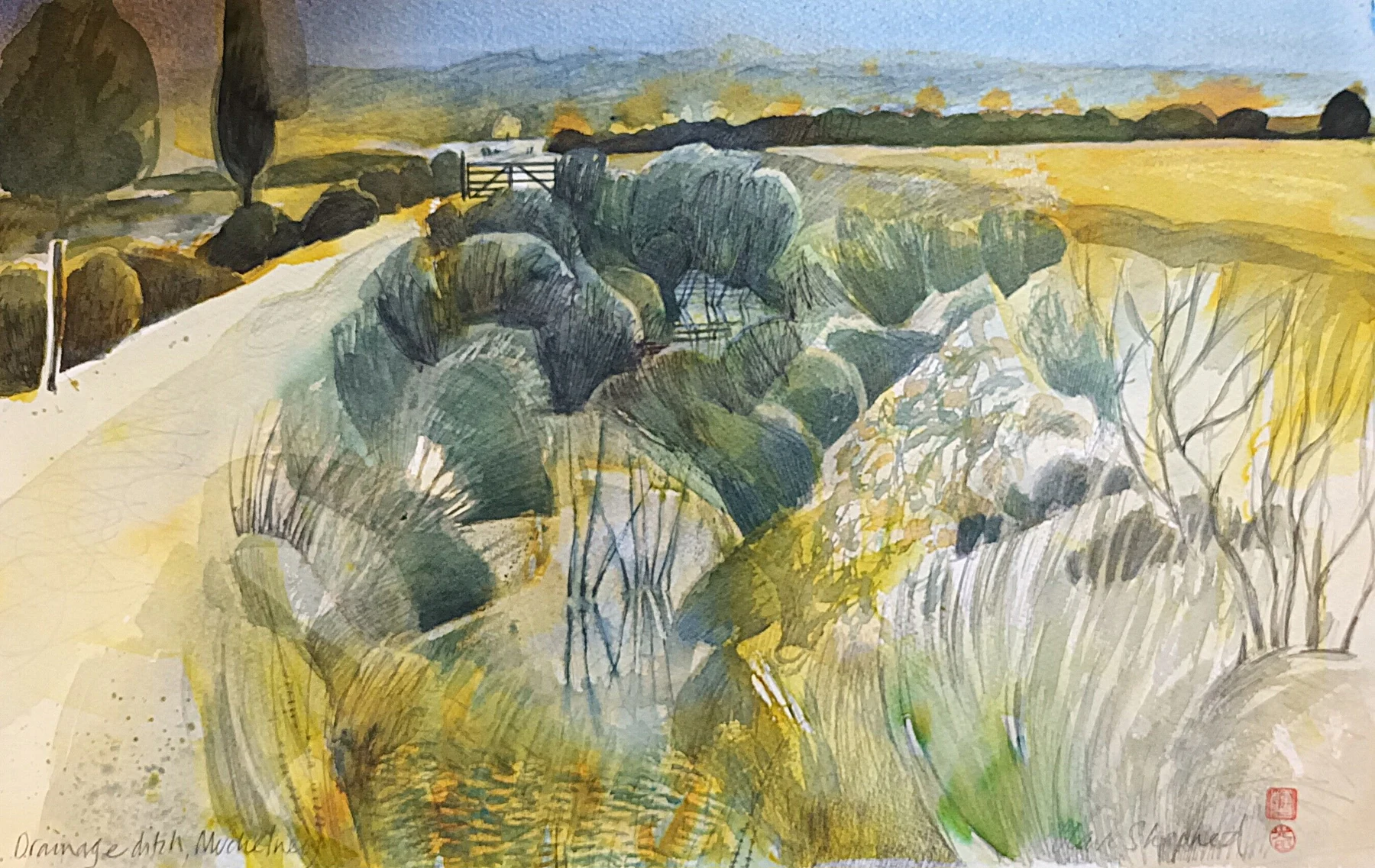 Somerset Levels — Watercolour on paper, 2025