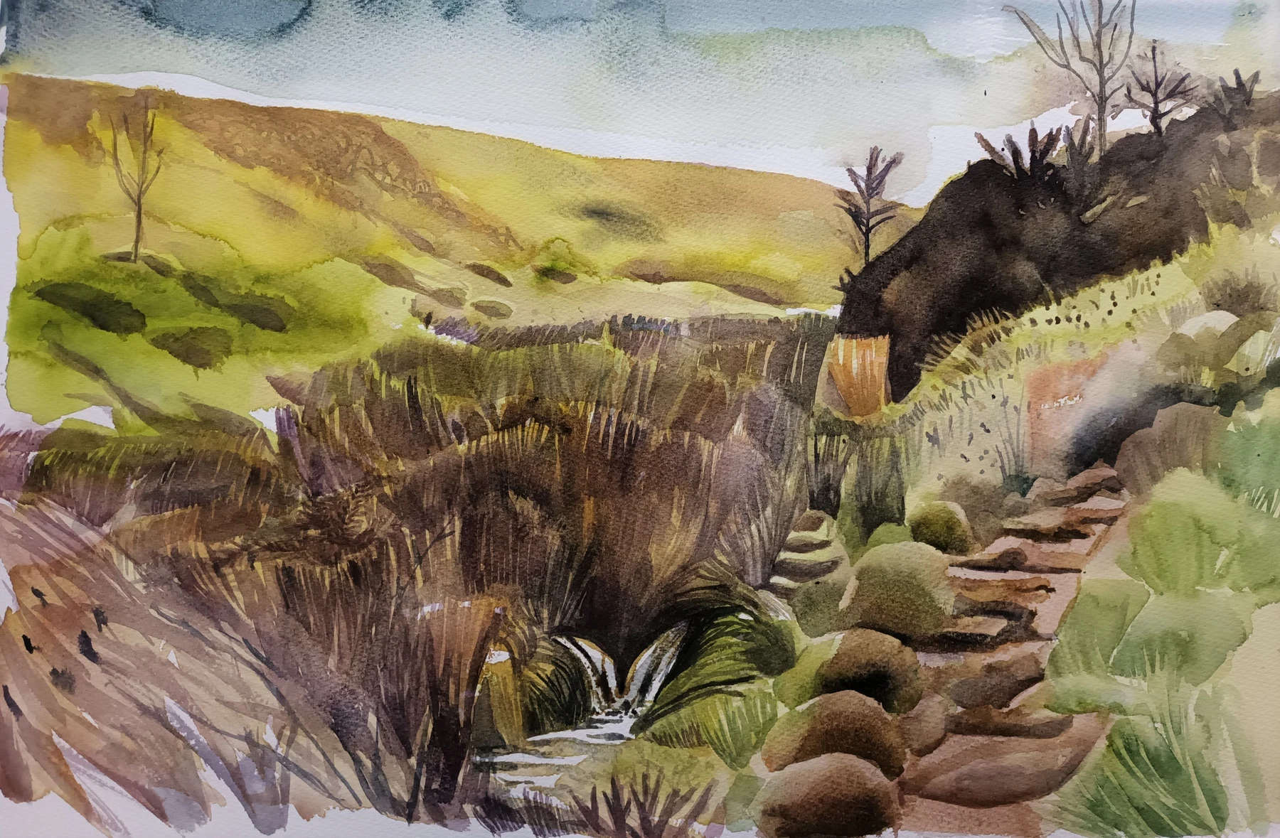 Withypool Common, Brook — Watercolour on paper, 2026